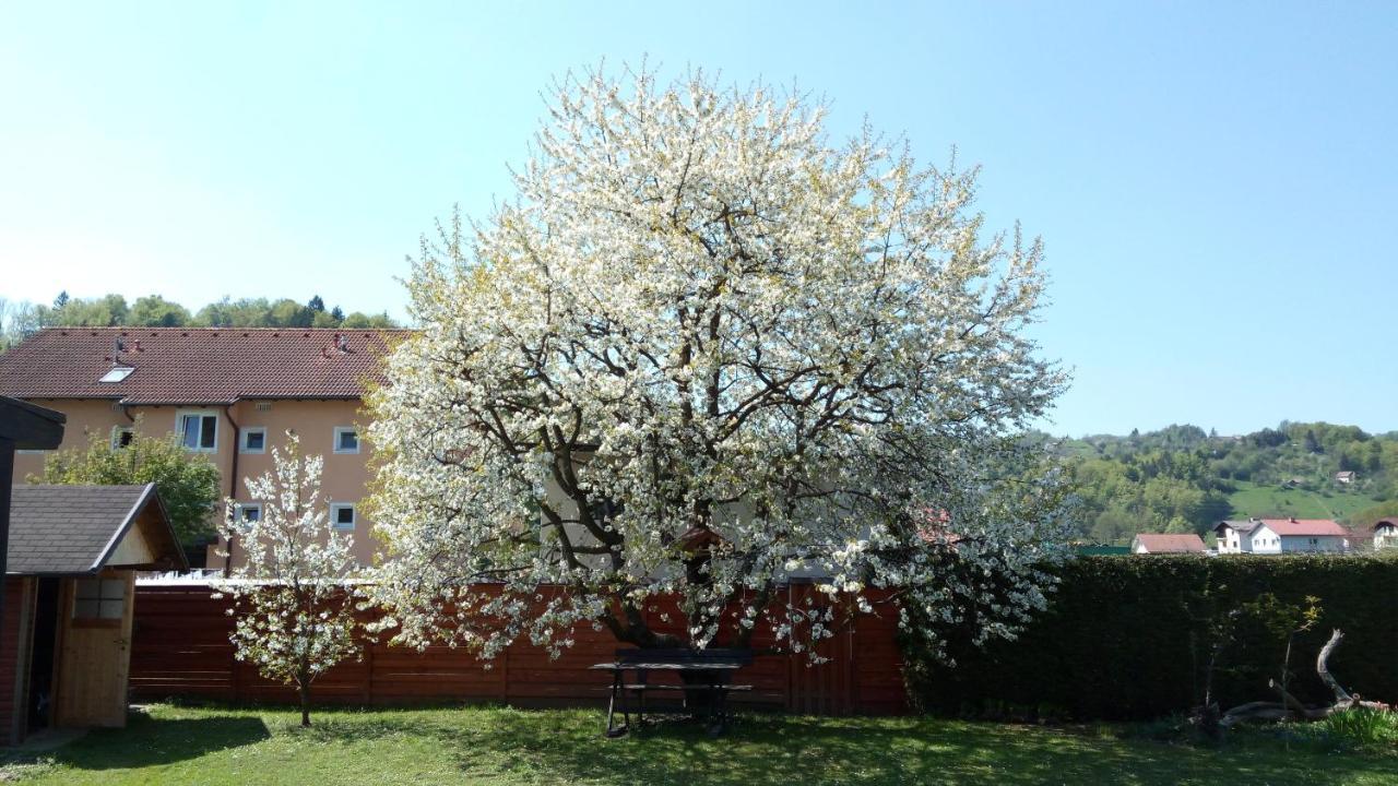Apartma Golob Zgornja Kungota Exterior foto